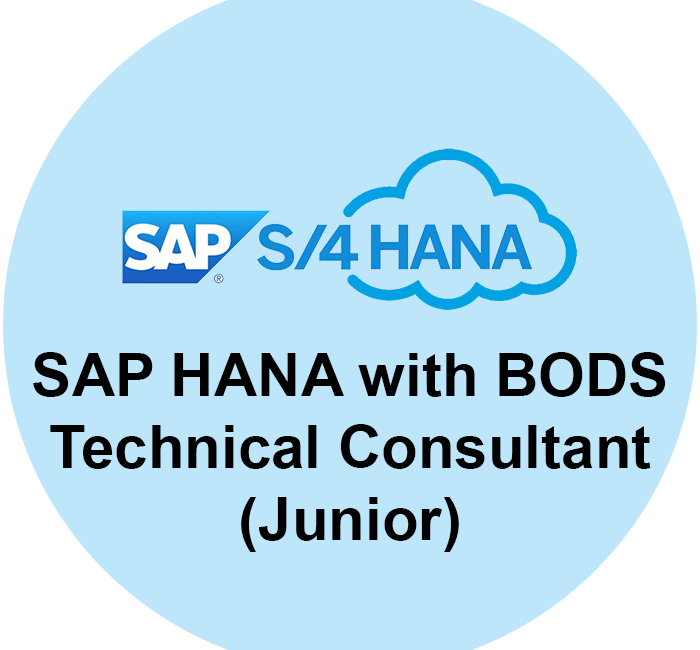 SAP BODS Consultant (Junior)