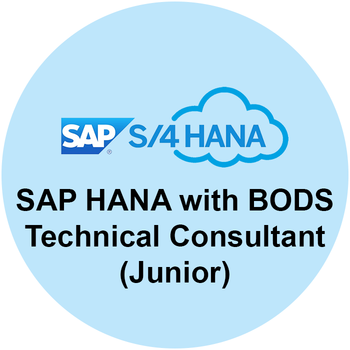 SAP BODS Consultant (Junior)
