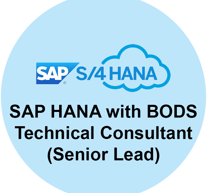 Senior SAP BODS Consultant