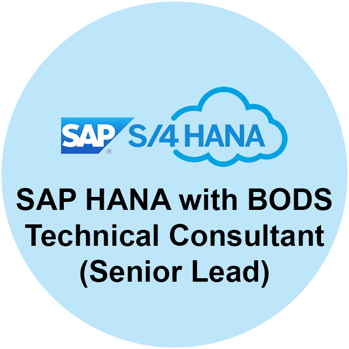 Senior SAP BODS Consultant