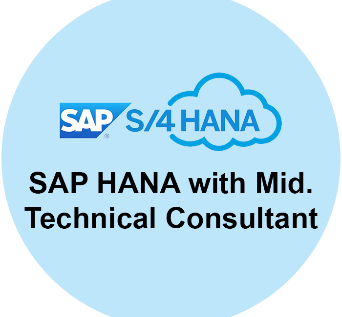 SAP BODS Consultant Mid-level