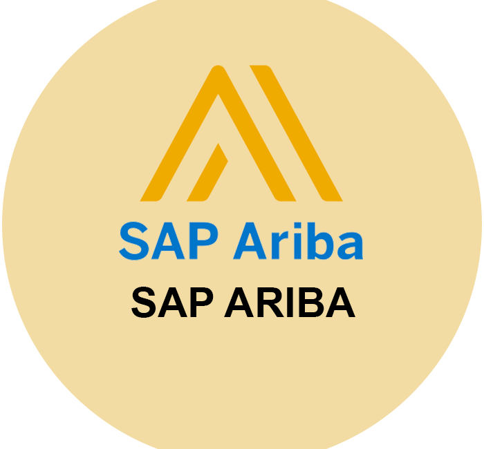 SAP Ariba Developer