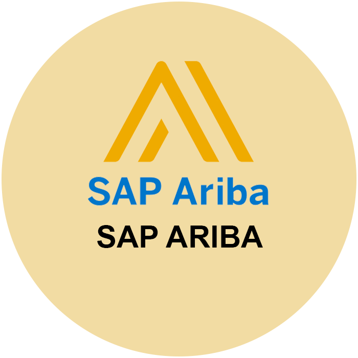 SAP Ariba Developer