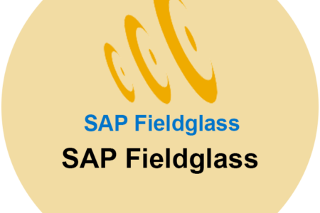 SAP Fieldglass Consultant