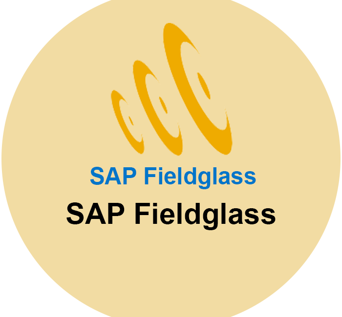 SAP Fieldglass Consultant