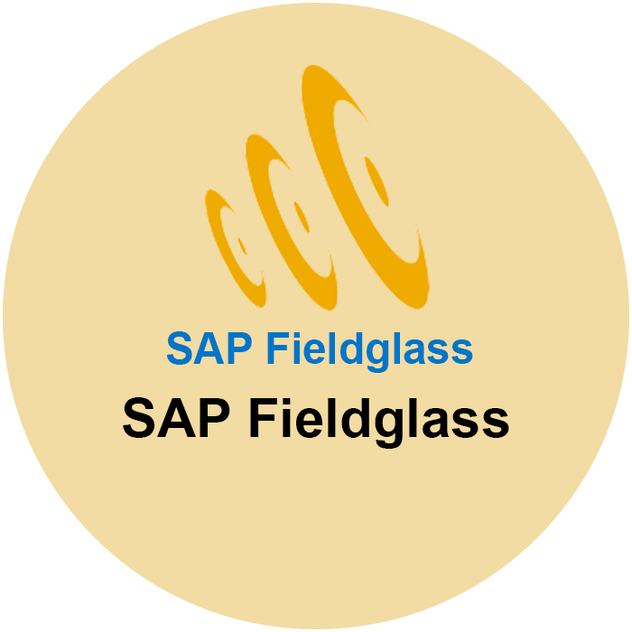 SAP Fieldglass Consultant