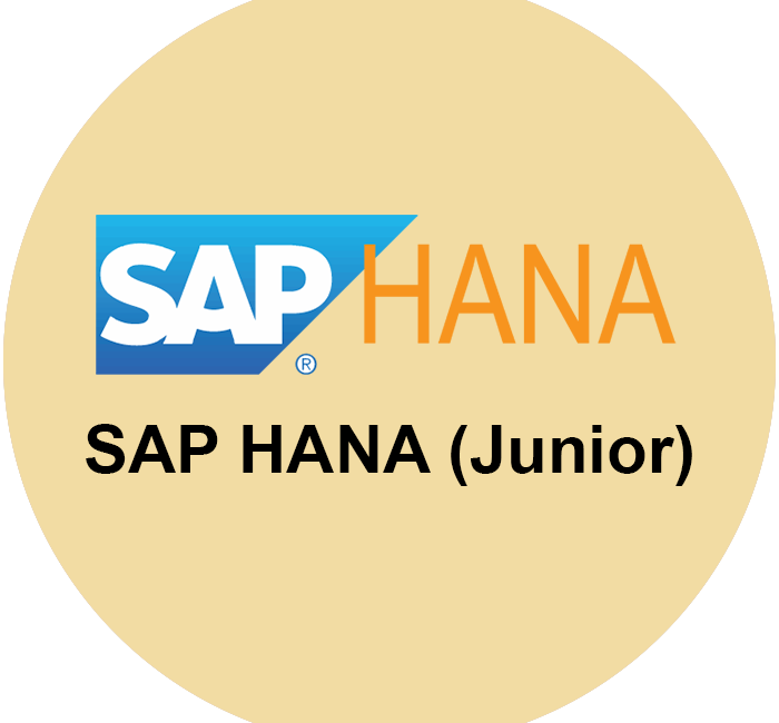 Junior SAP S4HANA Consultant