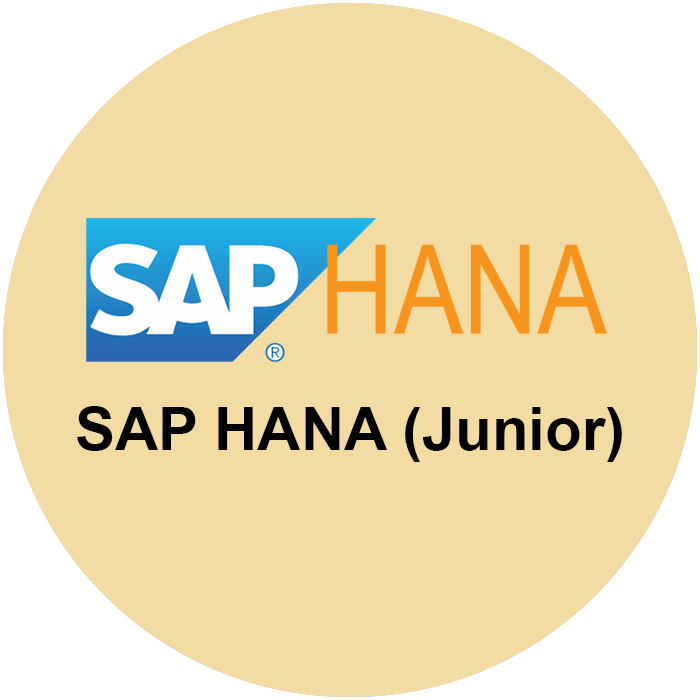 Junior SAP S4HANA Consultant