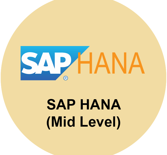 SAP HANA Cloud Developer (Mid)