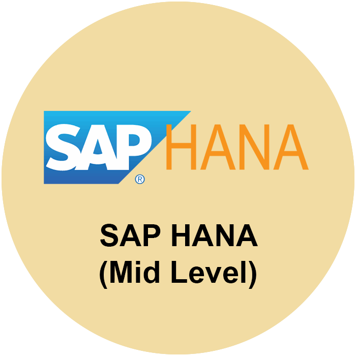 SAP HANA Cloud Developer (Mid)