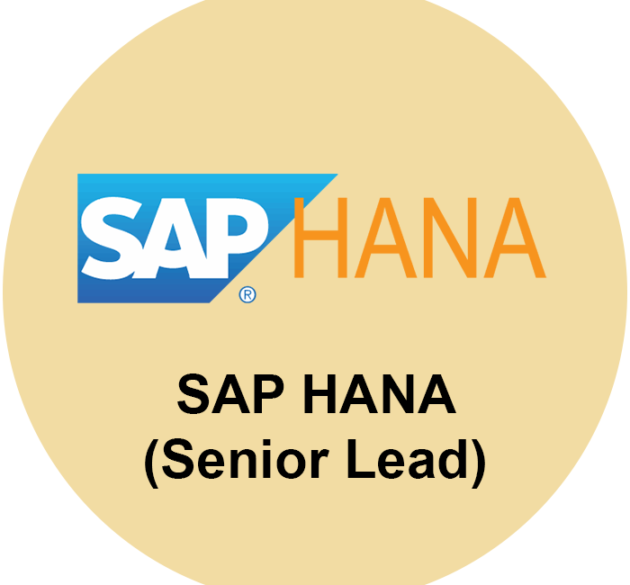 SAP HANA Developer (Senior Lead)