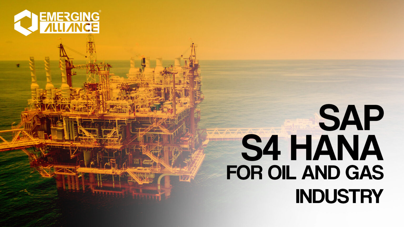 How to use SAP S4 HANA in the Oil & Gas Industry?