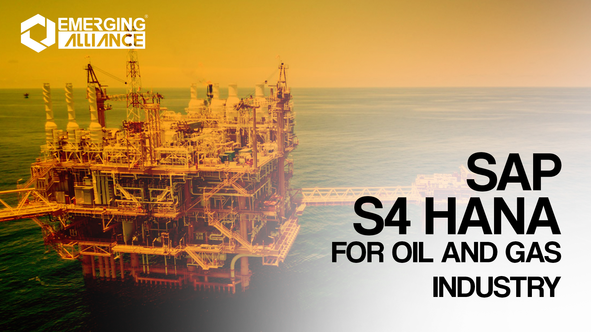 SAP S4 HANA Oil & Gas