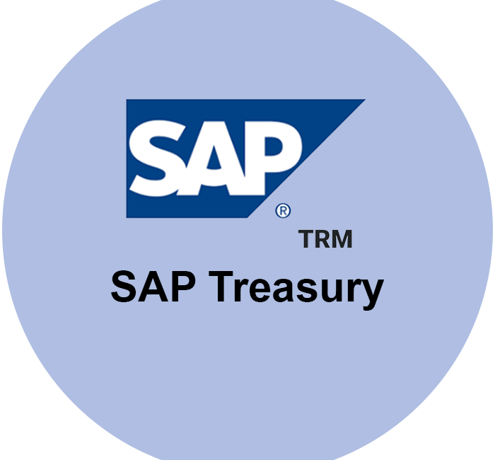 SAP Treasury Consultant