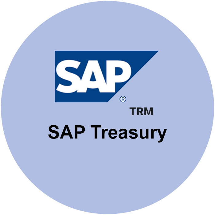 SAP Treasury Consultant