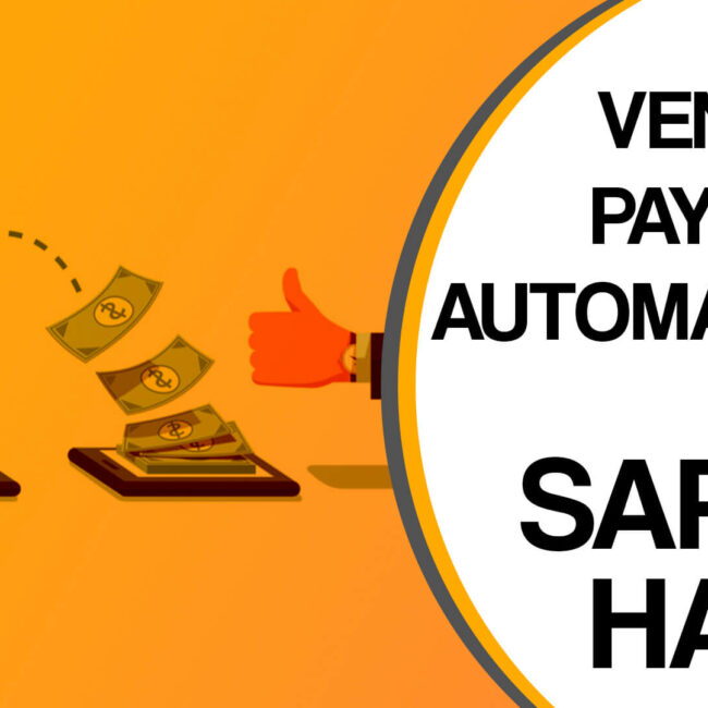 Vendor Payment Automation SAP S4 HANA