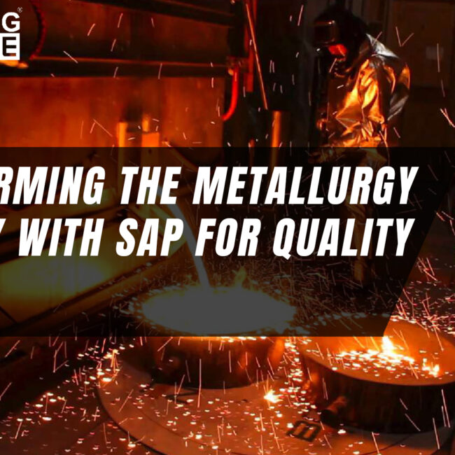 SAP for Metallurgy