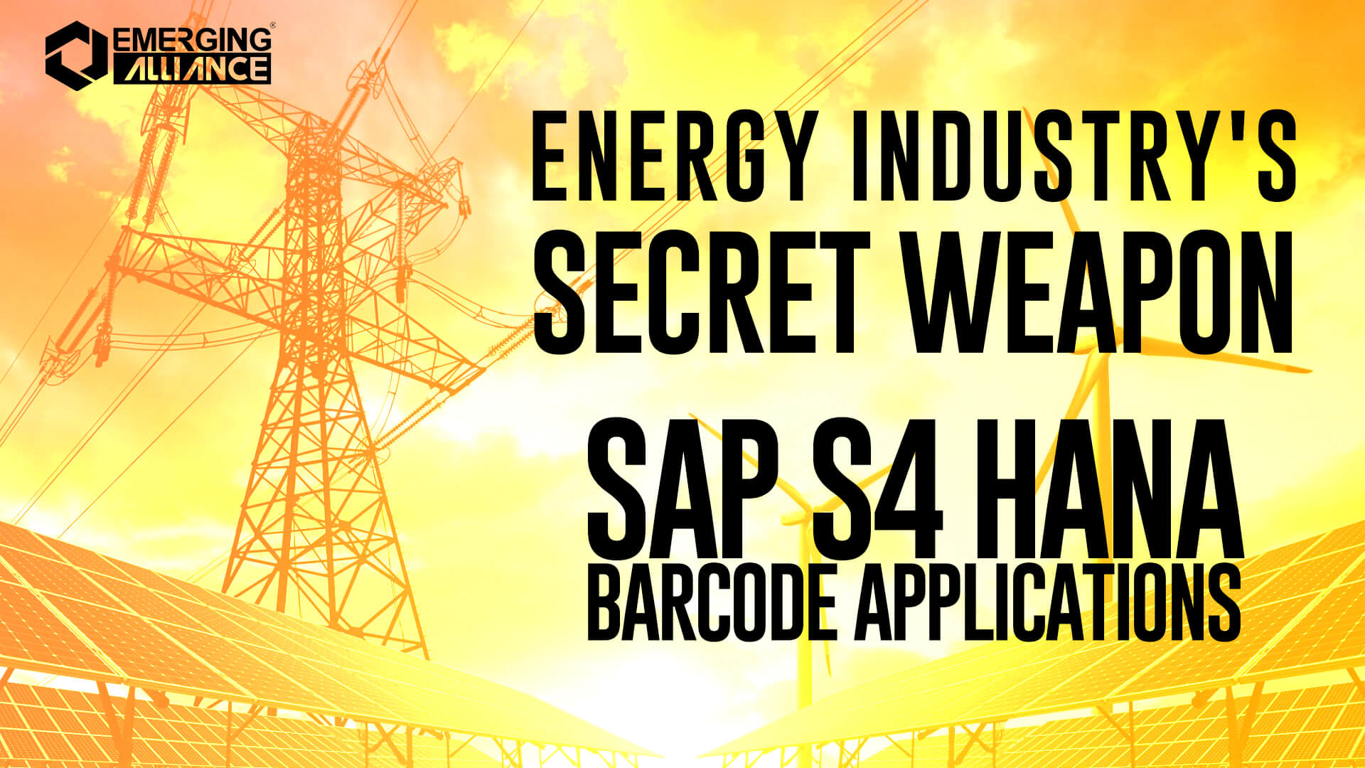 SAP S4 HANA Barcode for Energy