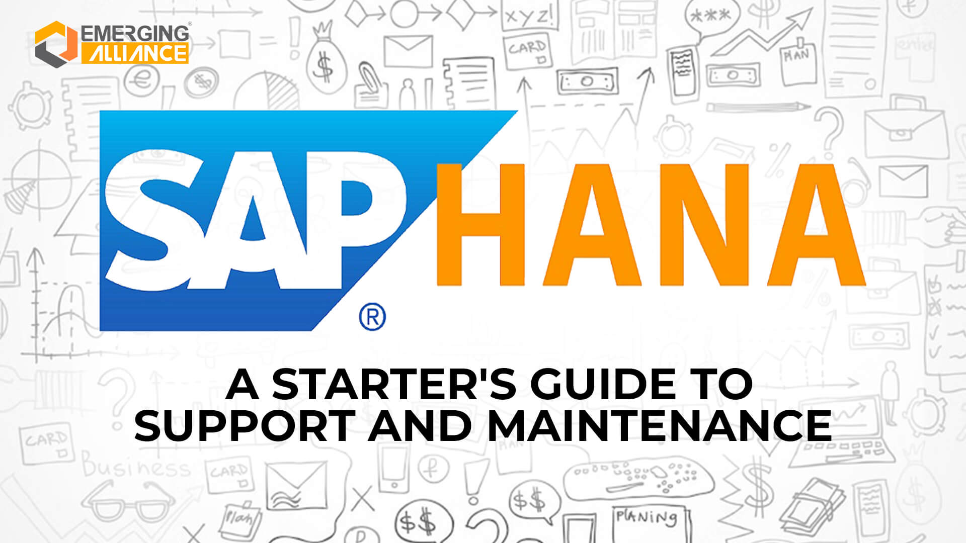 SAP HANA Support and Maintenance