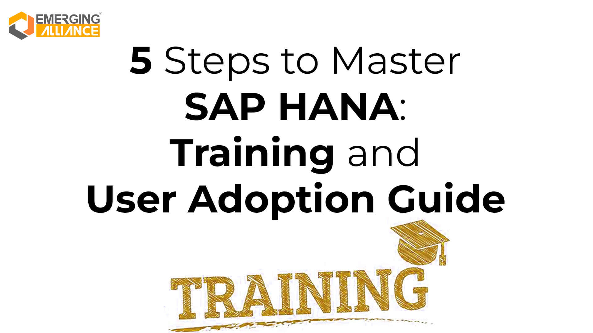 SAP HANA Training and User Adoption Guide