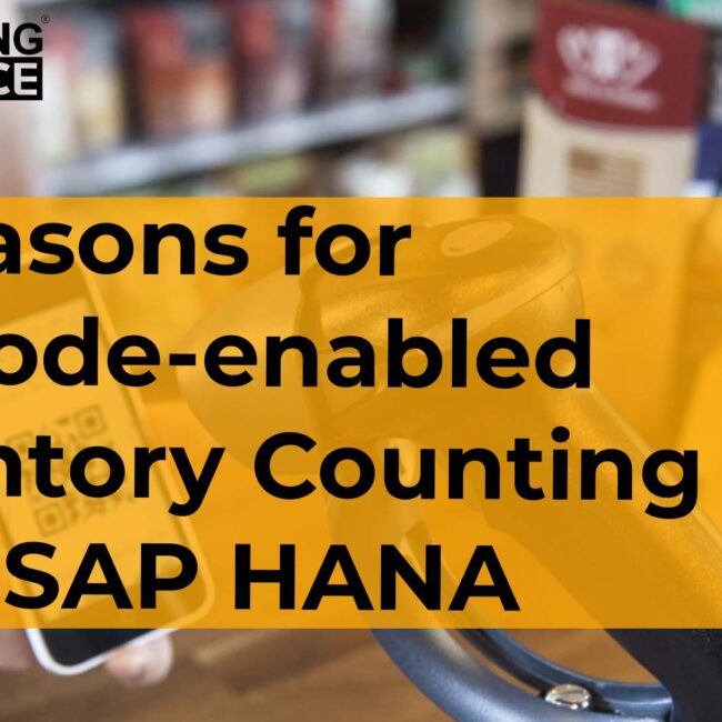 Barcode Enabled Inventory Counting with SAP HANA