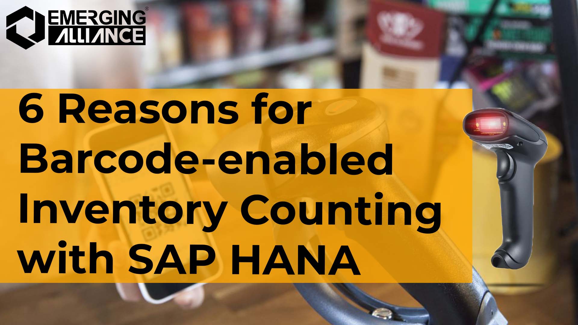 Barcode Enabled Inventory Counting with SAP HANA