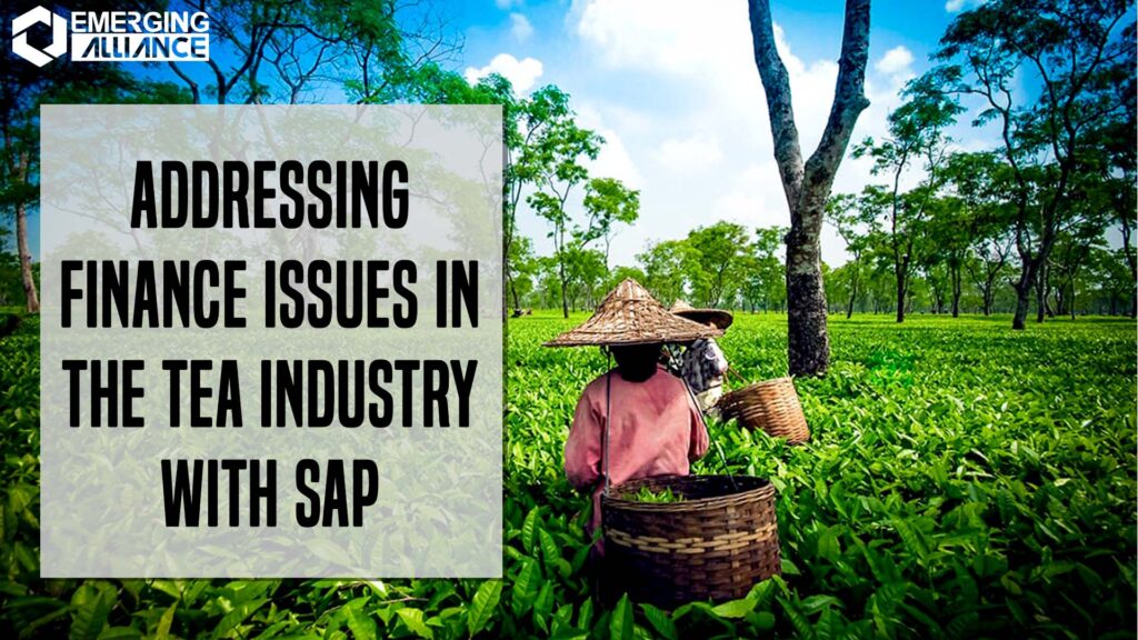 SAP HANA for Tea Industry