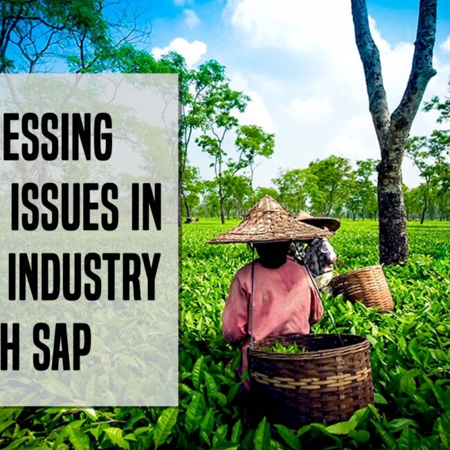 SAP HANA for Tea Industry