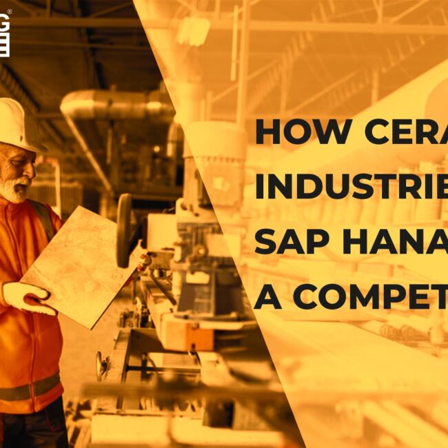 SAP S4HANA for Ceramic Industry