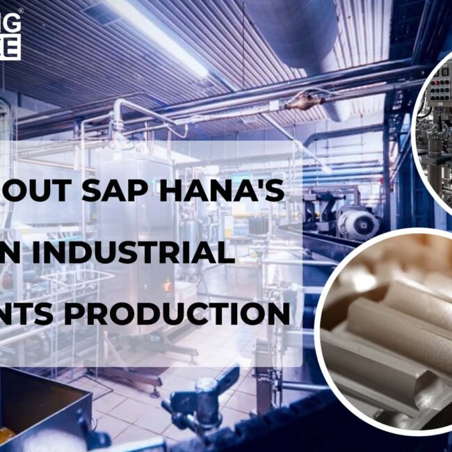 SAP S4HANA for Industrial Equipments Production