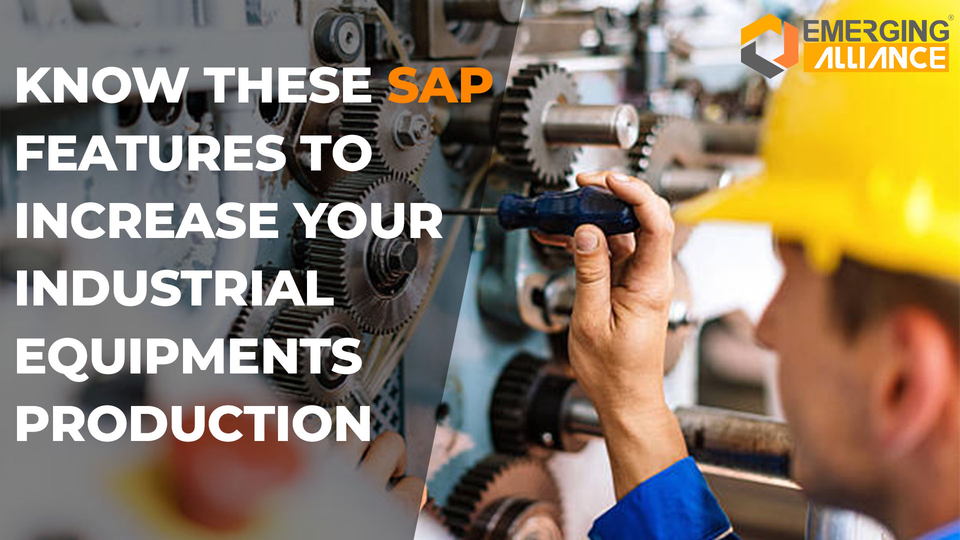 SAP ERP for Industrial Equipments Production