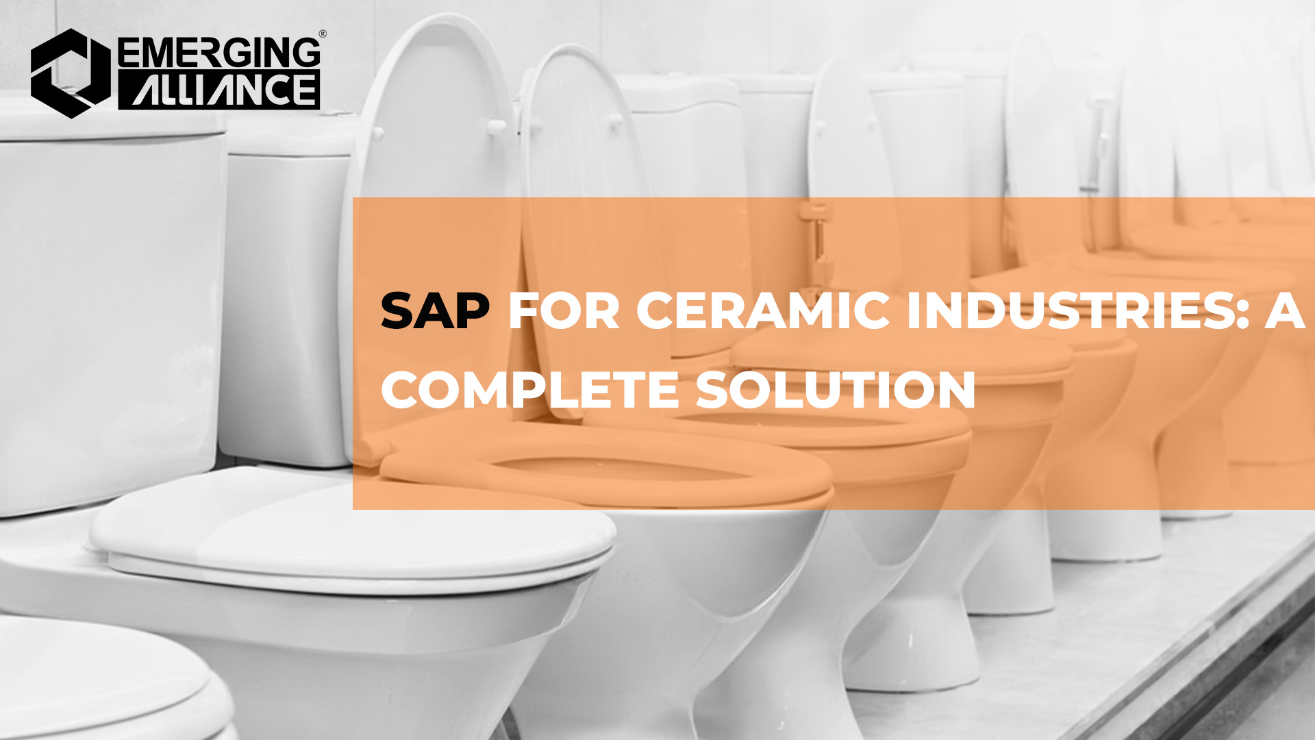 SAP for Ceramic Industry