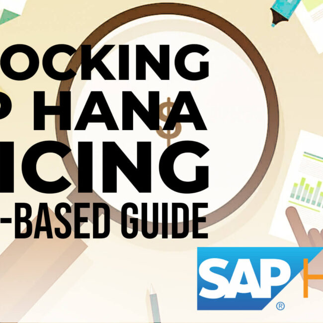 SAP HANA User based pricing