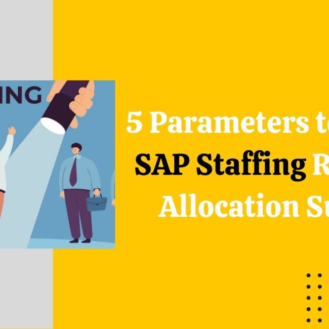 5 parameters for SAP Staffing