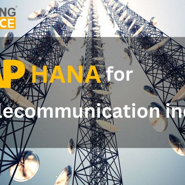 SAP HANA for the Telecommunication Industry