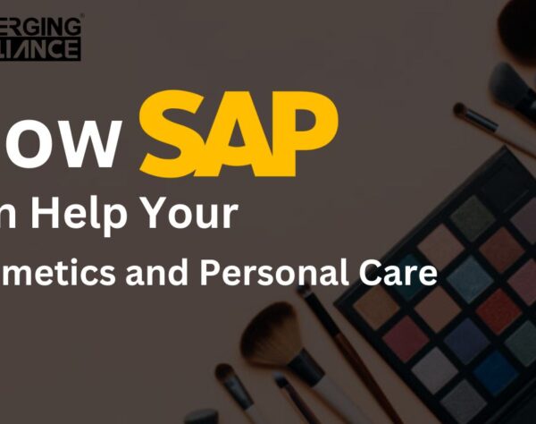 SAP Business One dashboard for cosmetics inventory management and stock control