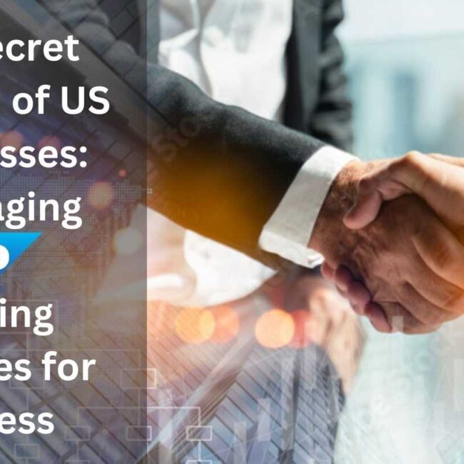 The Secret Weapon of US Businesses: Leveraging SAP Staffing Agencies for Success