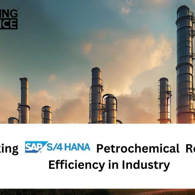 Cracking S/4HANA Petrochemical: Redefining Efficiency in the Industry