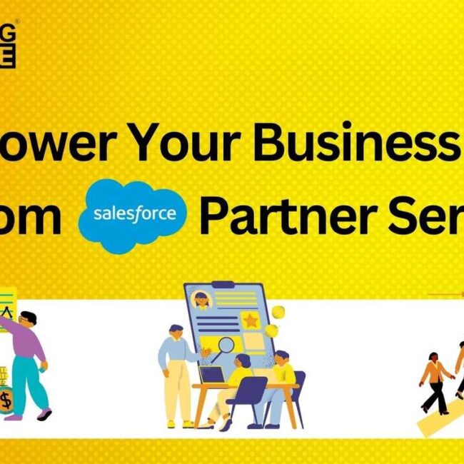 Empower Your Business with Custom Salesforce Partner Services