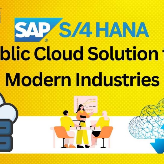 SAP S/4 HANA Public Cloud Solution for Modern Industries