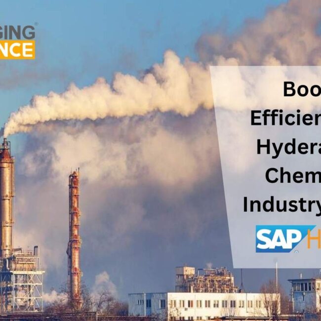 sap partners in india Hyderabad Chemical Industry with SAP HANA