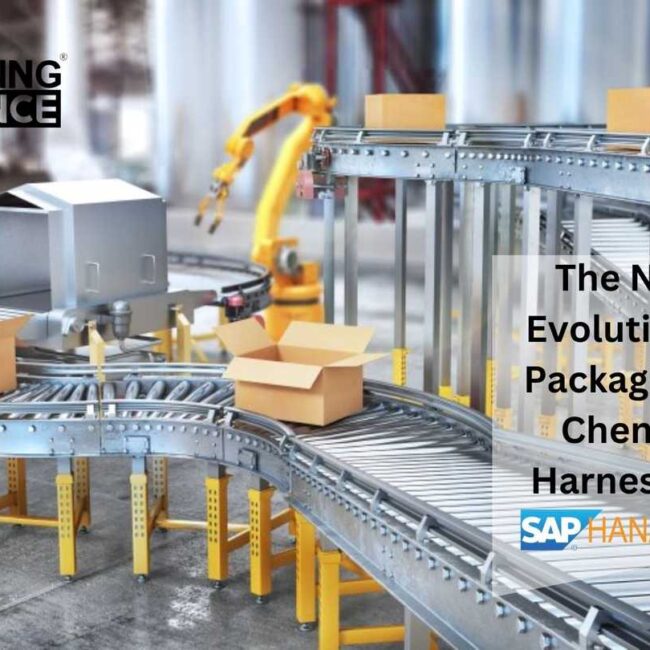 The Next Evolution of Packaging in Chennai Harnessing SAP HANA Power