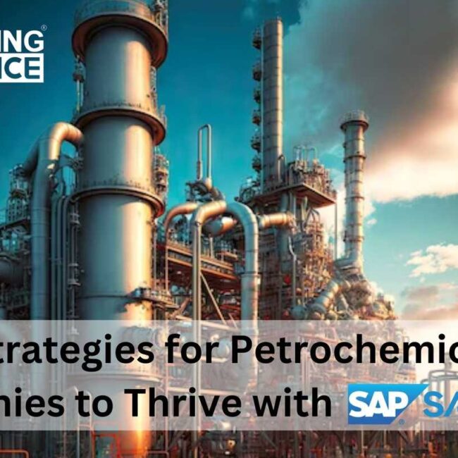 6 Strategies for Petrochemical Companies to Thrive with SAP S/4 HANA