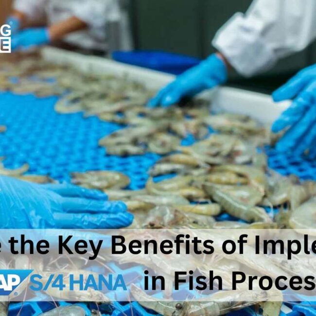 What Are the Key Benefits of Implementing SAP HANA in Fish Processing?