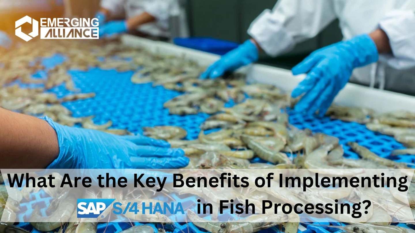 What Are the Key Benefits of Implementing SAP HANA in Fish Processing?