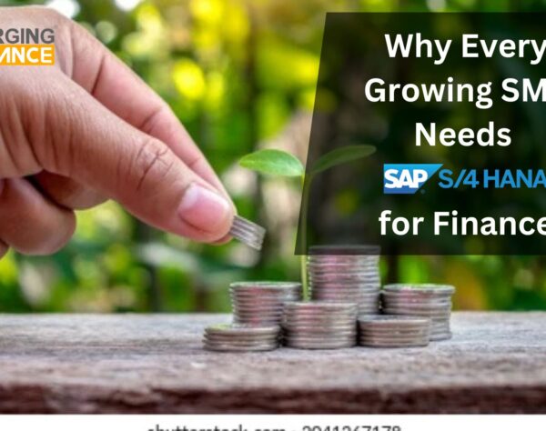 Why Every Growing SME Needs SAP S/4 HANA for Finance