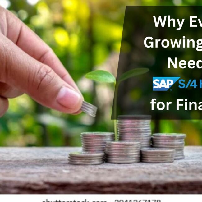 Why Every Growing SME Needs SAP S/4 HANA for Finance