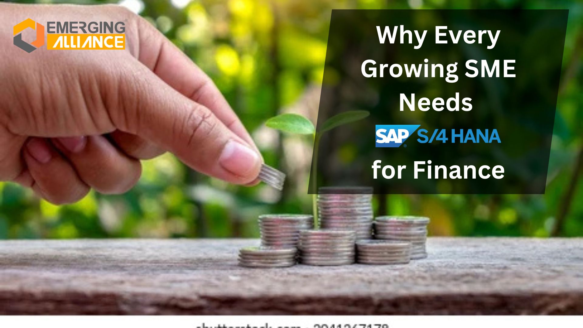 Why Every Growing SME Needs SAP S/4 HANA for Finance