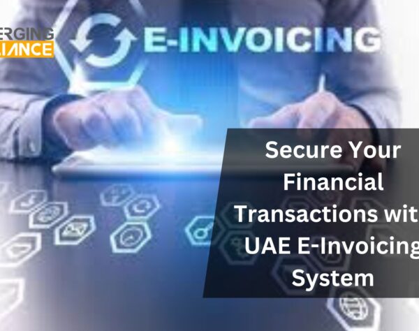 Secure Your Financial Transactions with UAE E-Invoicing System