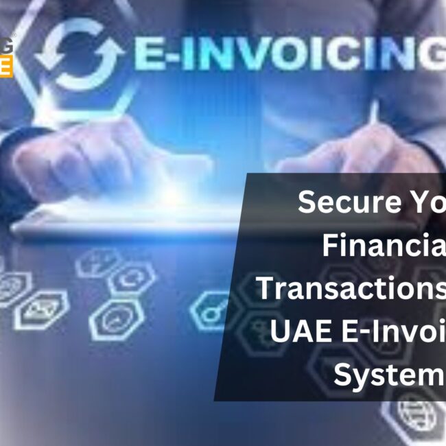 Secure Your Financial Transactions with UAE E-Invoicing System